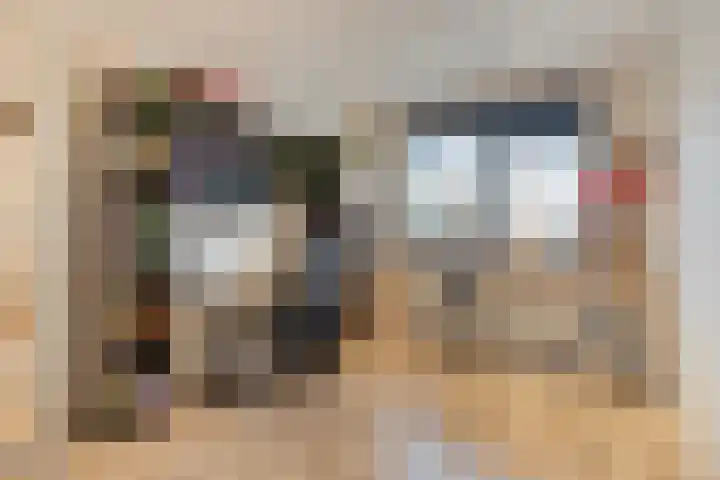 Berkenhof 56 Didam thumbnail 25