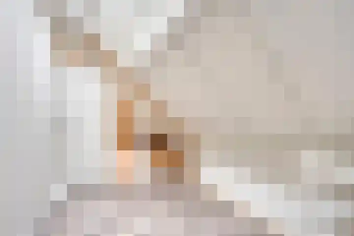 Berkenhof 56 Didam thumbnail 32