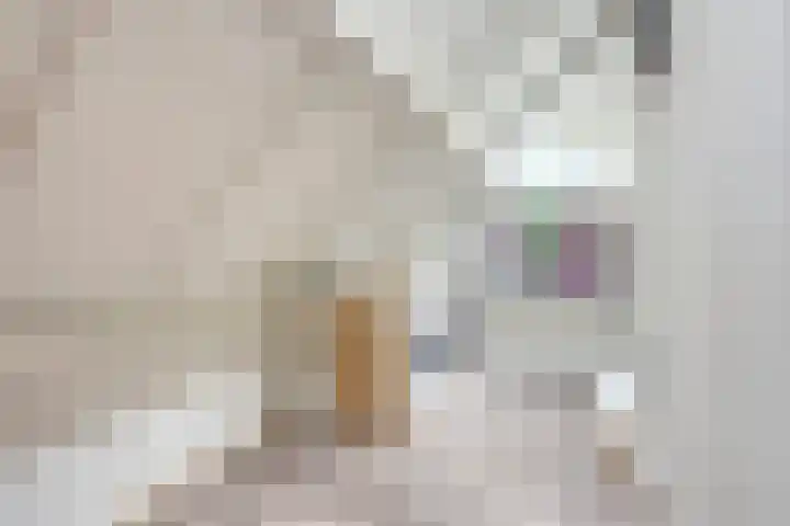 Berkenhof 56 Didam thumbnail 33