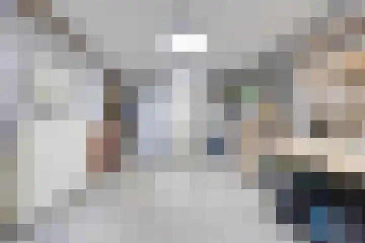 Berkenhof 56 Didam thumbnail 39