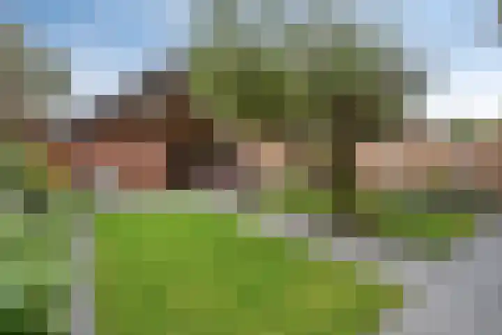 Berkenhof 56 Didam thumbnail 41