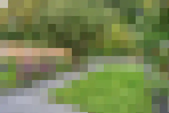 Berkenhof 56 Didam thumbnail 43