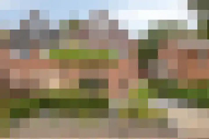 Berkenhof 56 Didam thumbnail 45