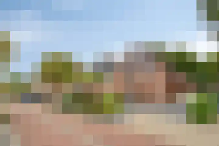 Berkenhof 56 Didam thumbnail 47