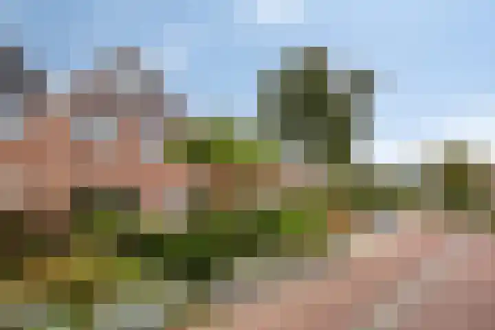Berkenhof 56 Didam thumbnail 48