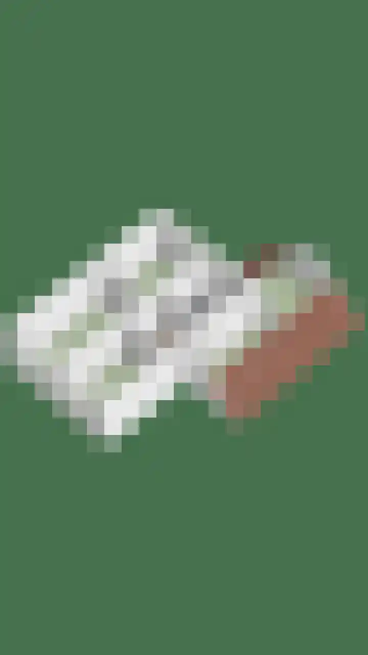 Berkenhof 56 Didam thumbnail 53