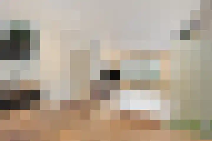 Berkenhof 56 Didam thumbnail 8