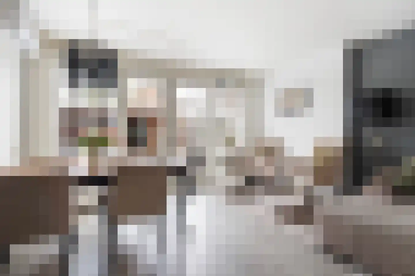 Berkenhof 56 Papendrecht thumbnail 10