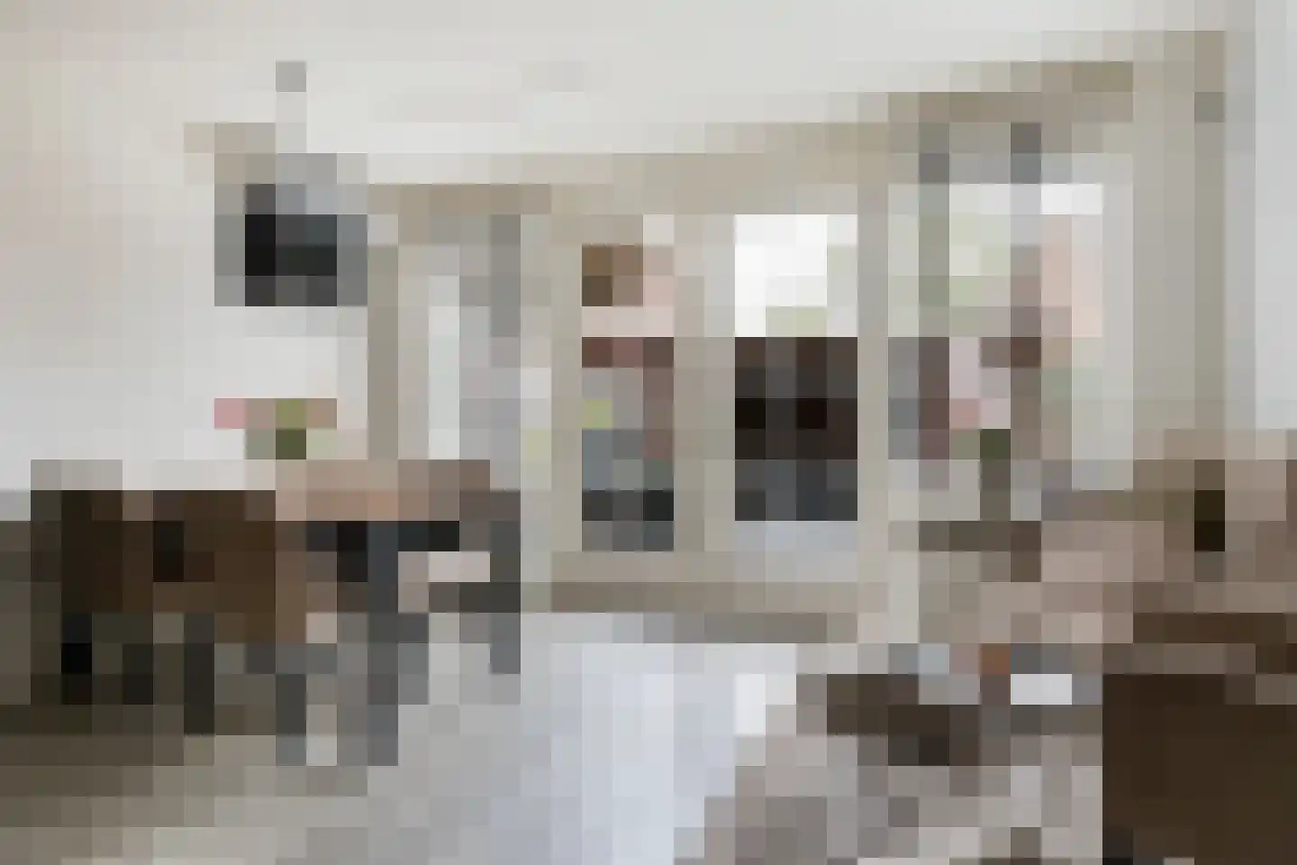 Berkenhof 56 Papendrecht thumbnail 11
