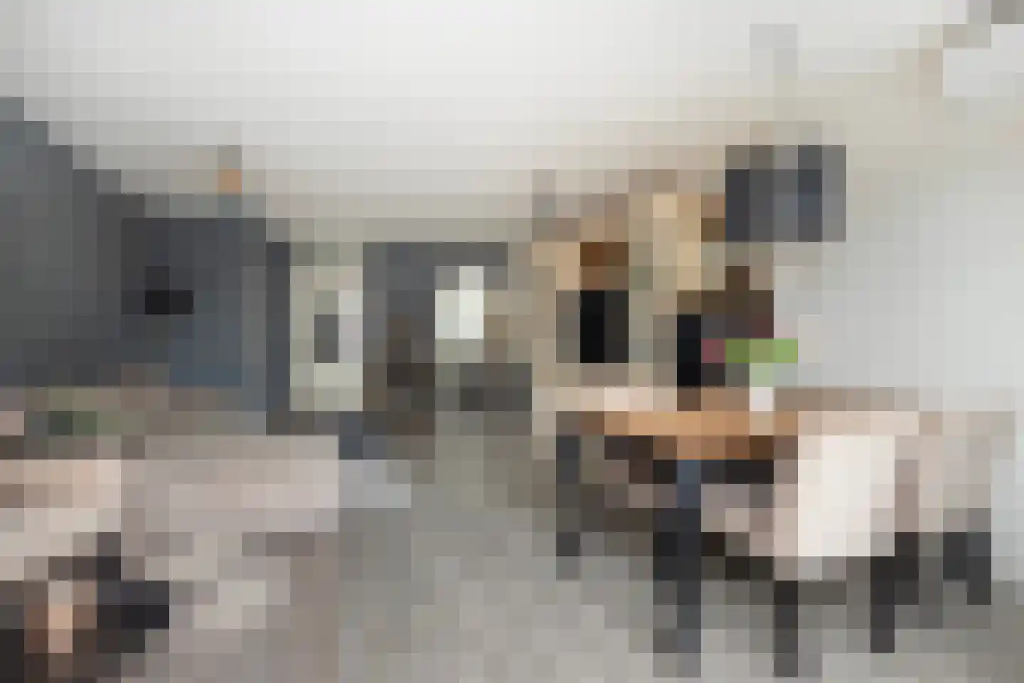 Berkenhof 56 Papendrecht thumbnail 13