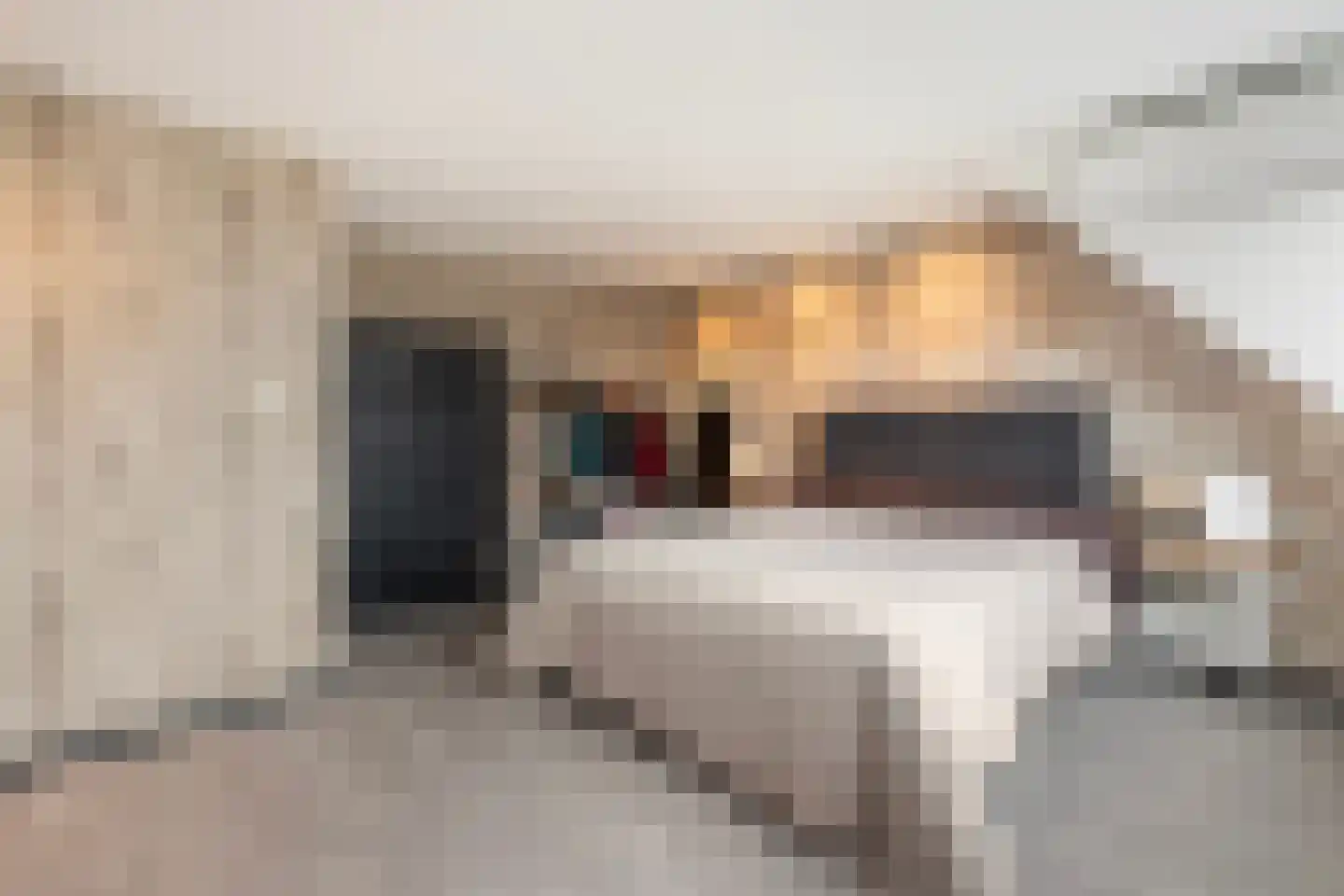 Berkenhof 56 Papendrecht thumbnail 19