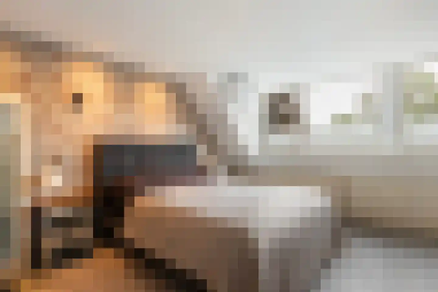 Berkenhof 56 Papendrecht thumbnail 20