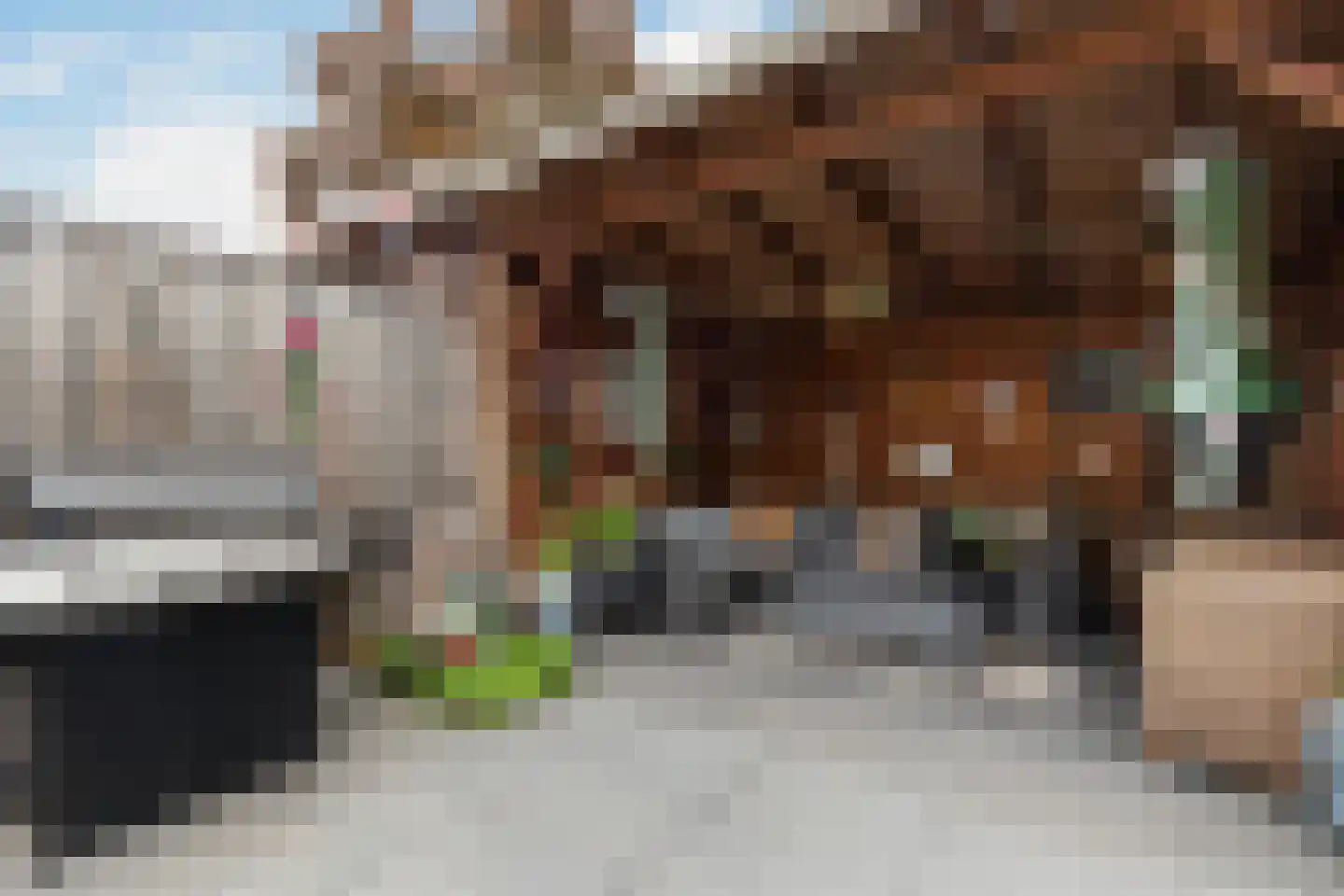 Berkenhof 56 Papendrecht thumbnail 27