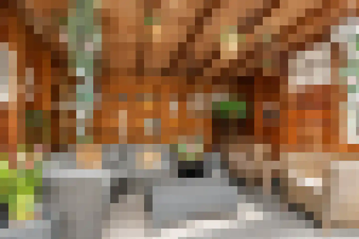 Berkenhof 56 Papendrecht thumbnail 28
