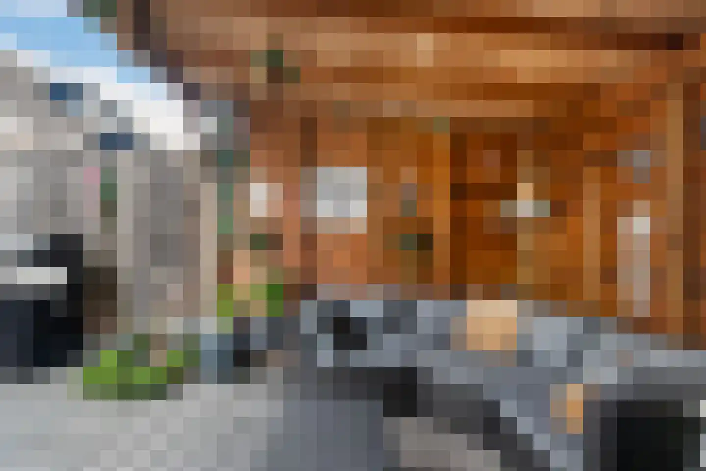 Berkenhof 56 Papendrecht thumbnail 29