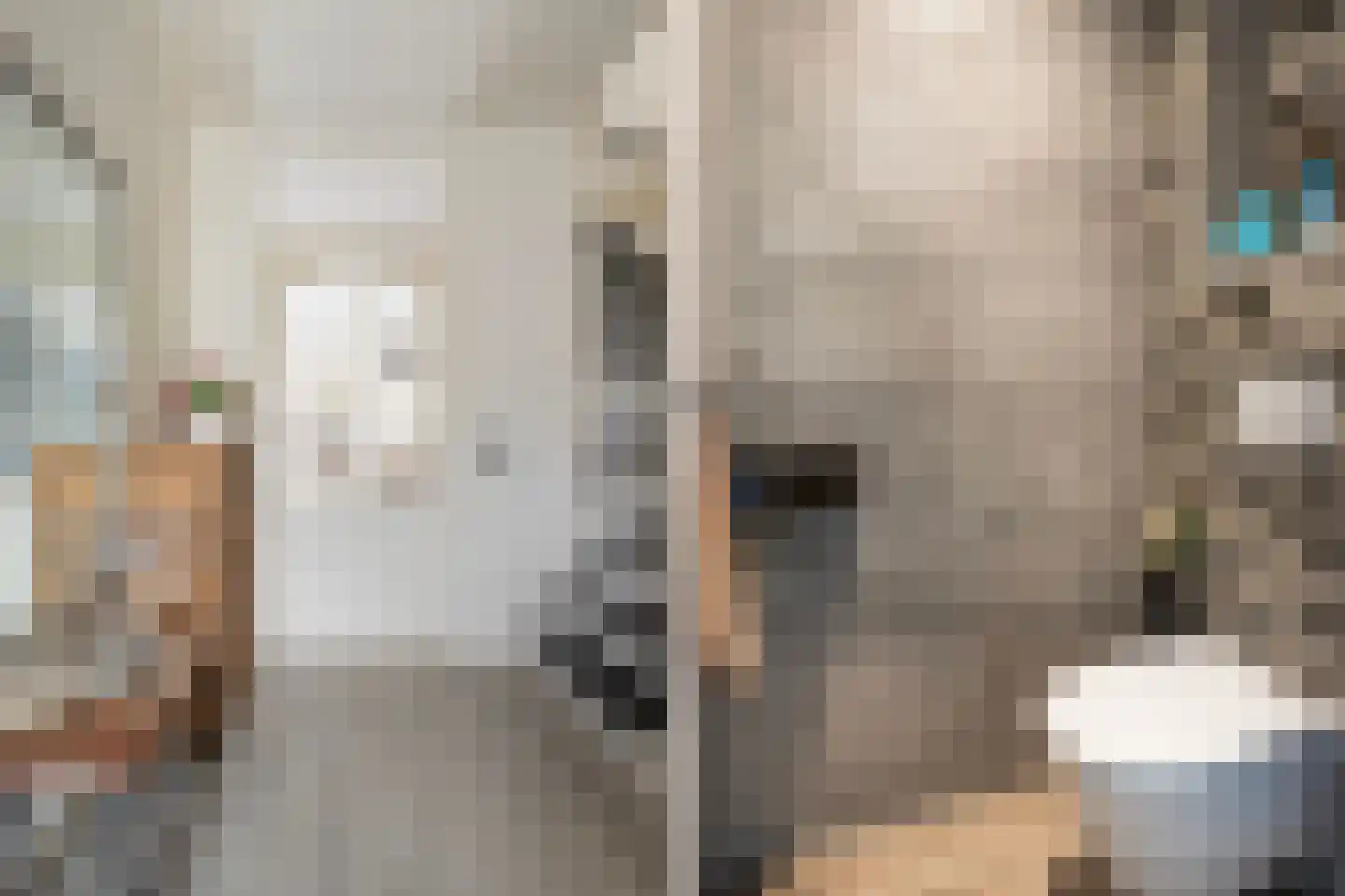 Berkenhof 56 Papendrecht thumbnail 7