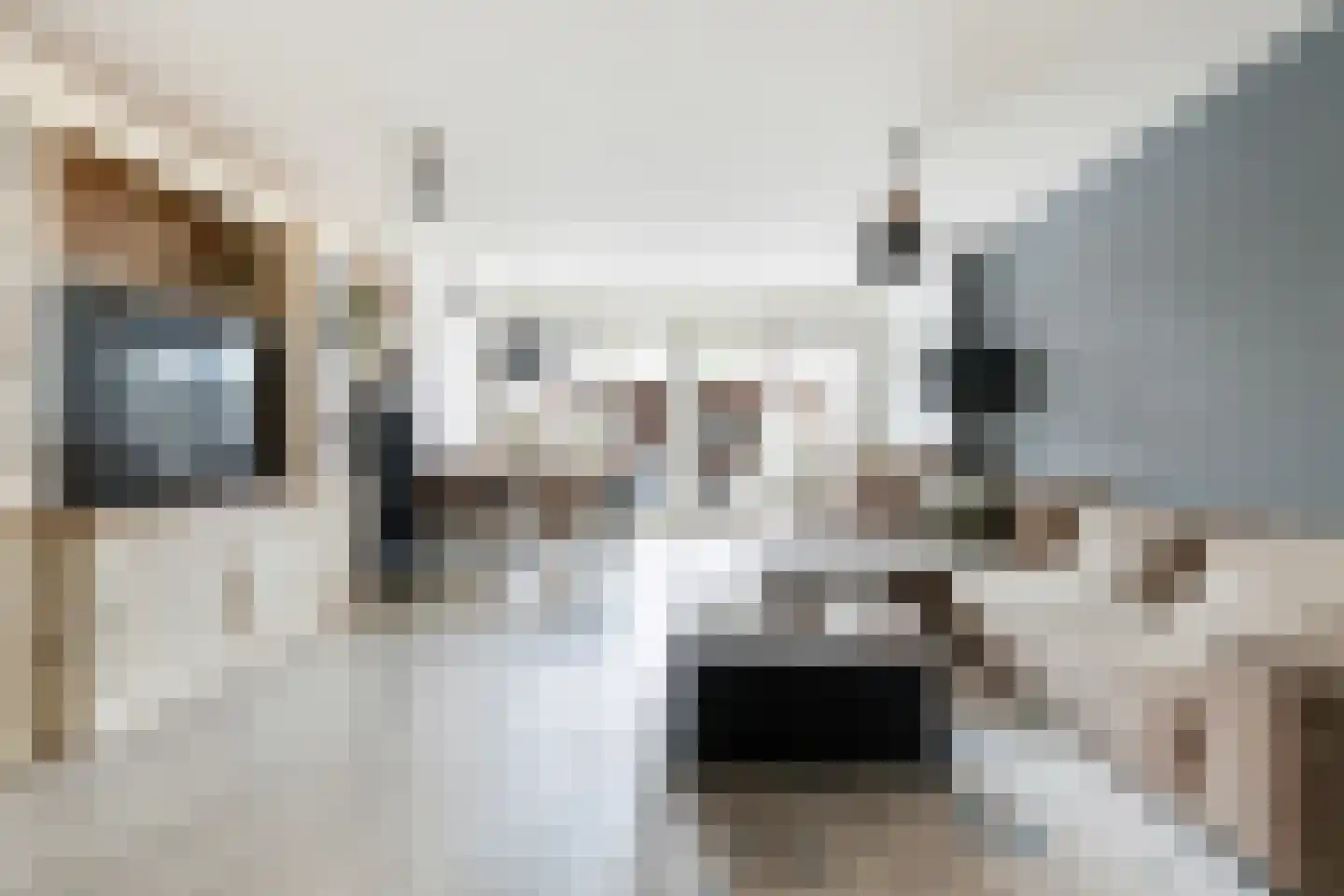 Berkenhof 56 Papendrecht thumbnail 8