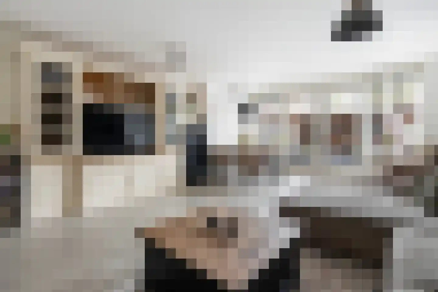 Berkenhof 56 Papendrecht thumbnail 9