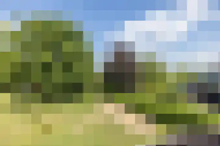 Berkenhof 7 Hulsberg thumbnail 27