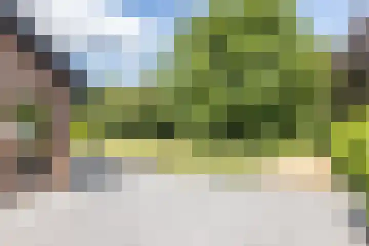 Berkenhof 7 Hulsberg thumbnail 44