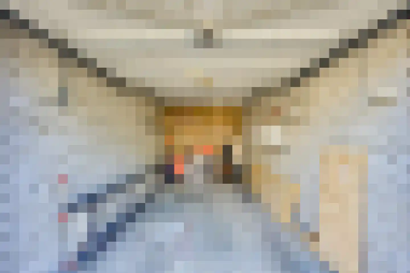 Berkenhof 7 Rozenburg thumbnail 42