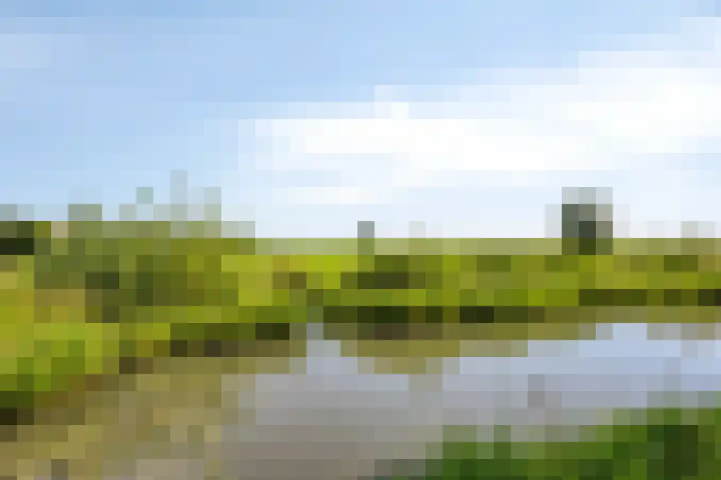 Berkenhof 79 Tienhoven thumbnail 21