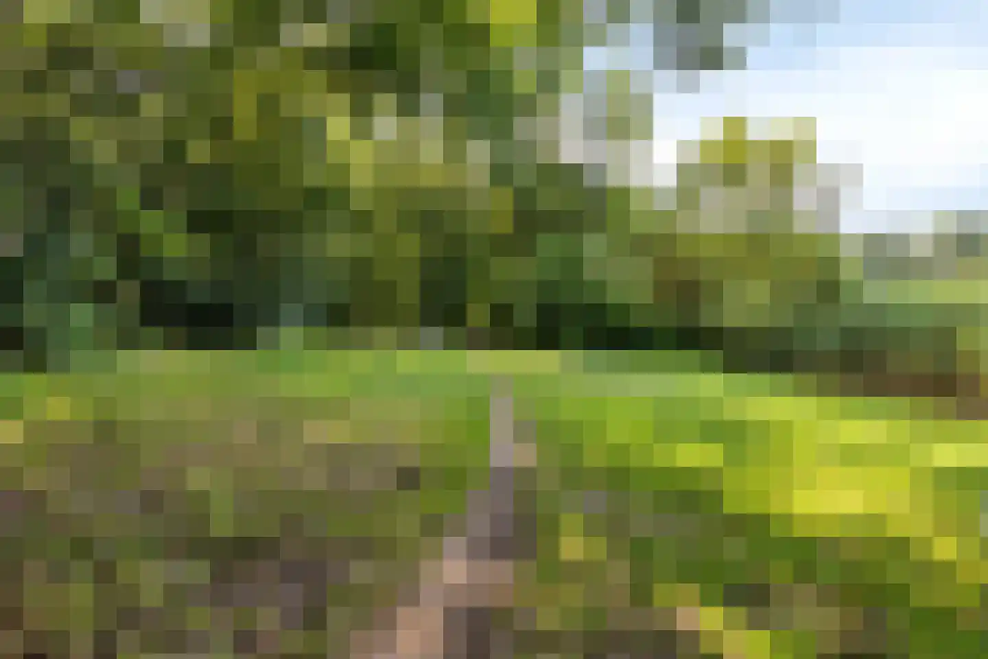 Berkenhof 79 Tienhoven thumbnail 22