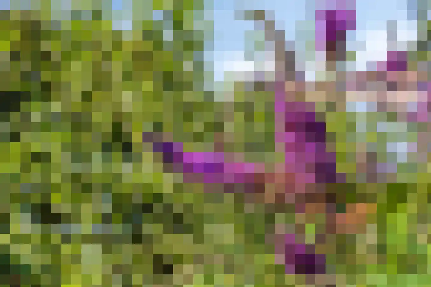 Berkenhof 79 Tienhoven thumbnail 24