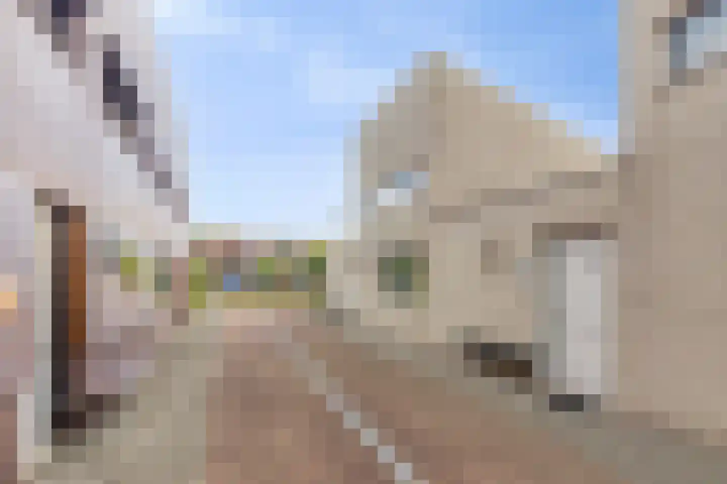 Berkenhof 8 Kapelle thumbnail 51