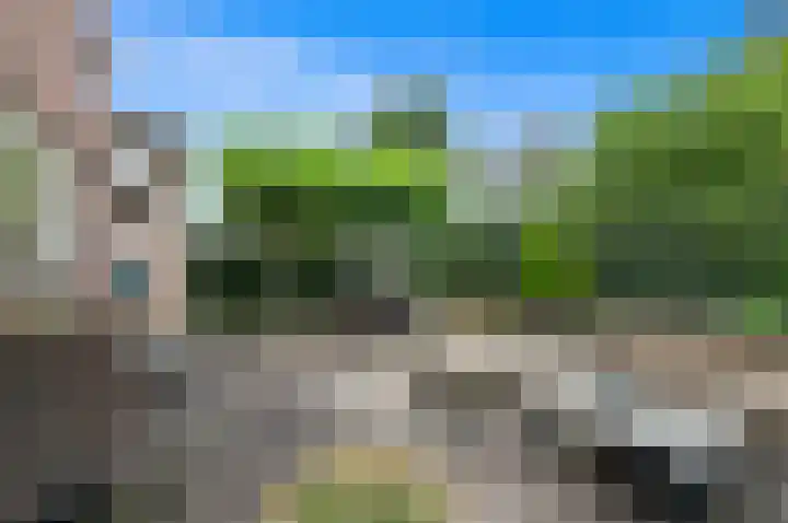 Berkenhof 8 Maasland thumbnail 18