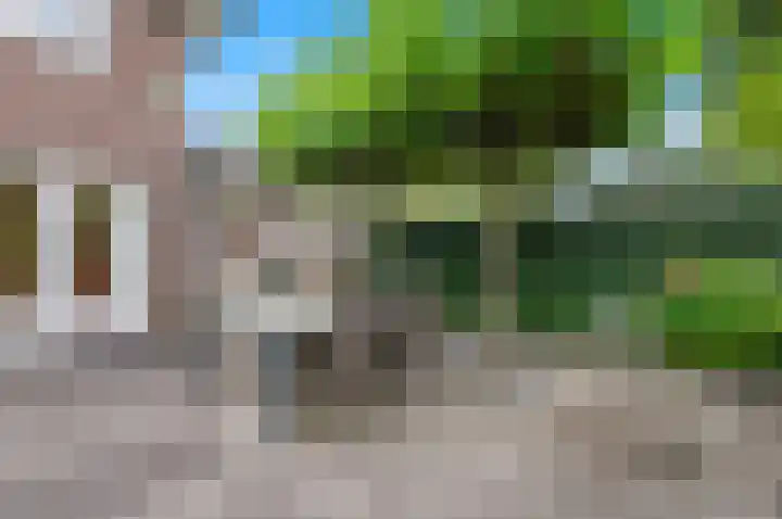 Berkenhof 8 Maasland thumbnail 20