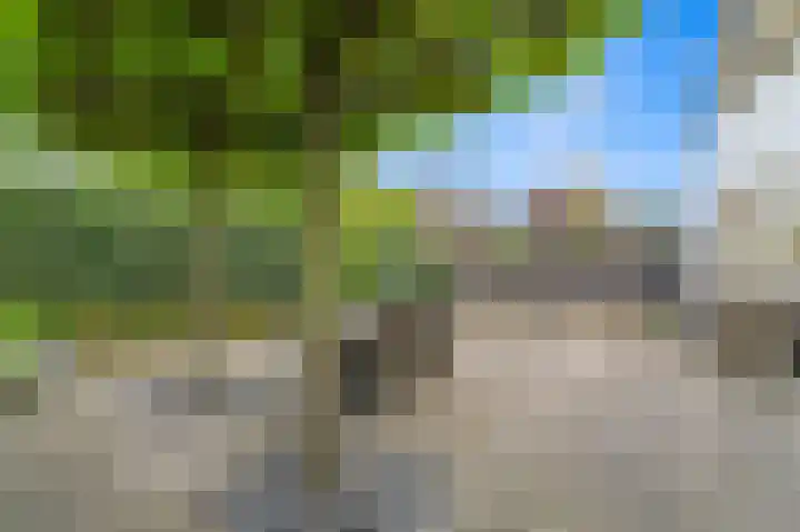 Berkenhof 8 Maasland thumbnail 21