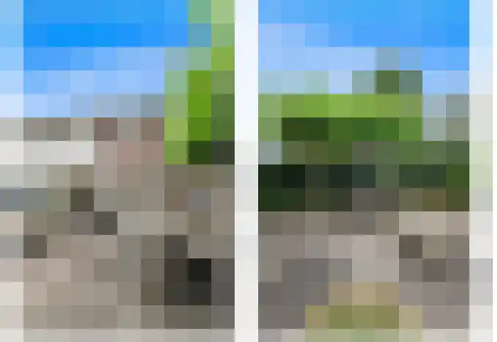 Berkenhof 8 Maasland thumbnail 22