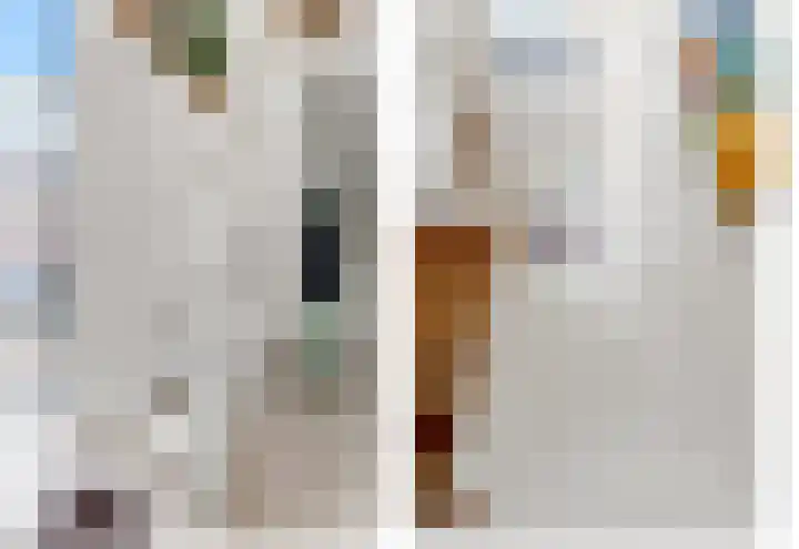 Berkenhof 8 Maasland thumbnail 24