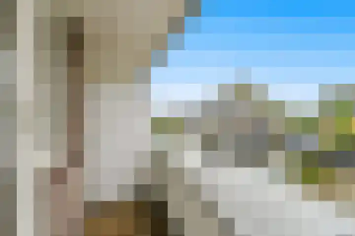 Berkenhof 8 Maasland thumbnail 28