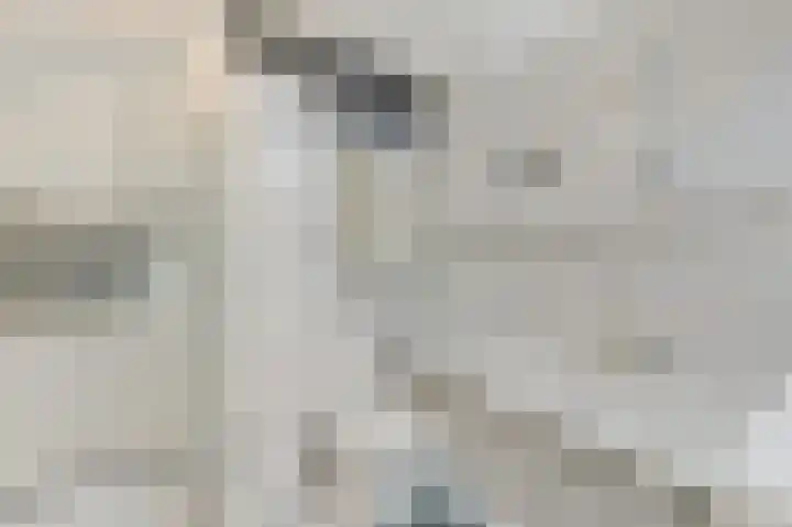 Berkenhof 8 Maasland thumbnail 32