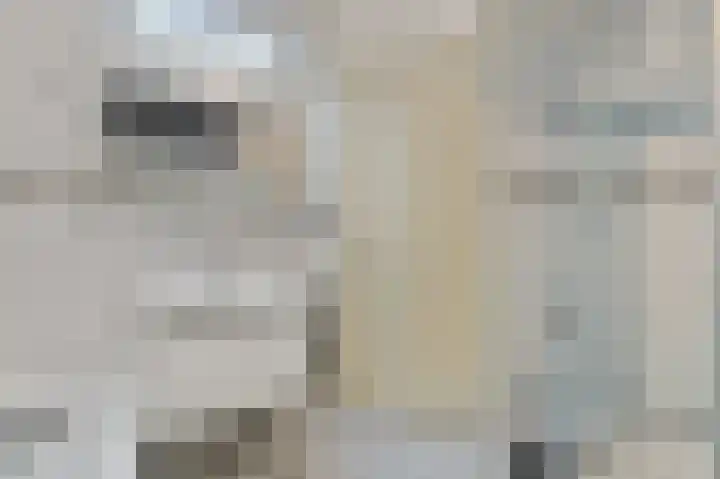 Berkenhof 8 Maasland thumbnail 33