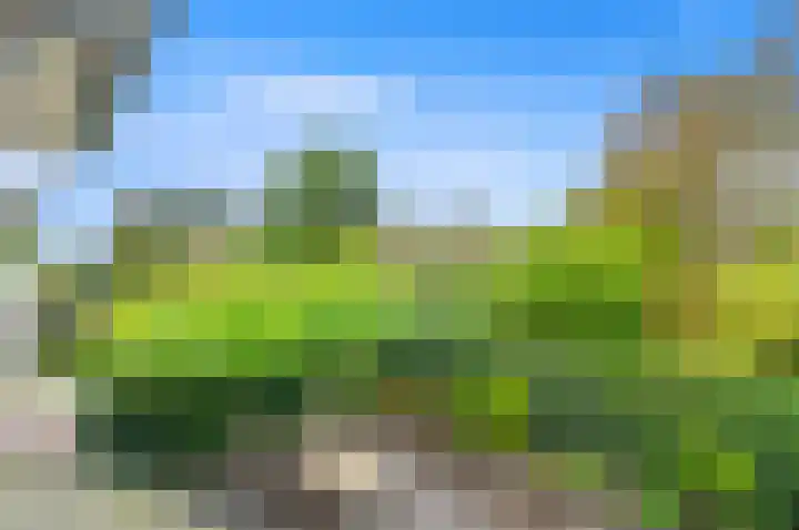 Berkenhof 8 Maasland thumbnail 40