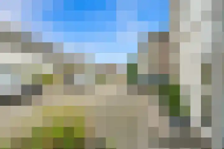 Berkenhof 8 Maasland thumbnail 6