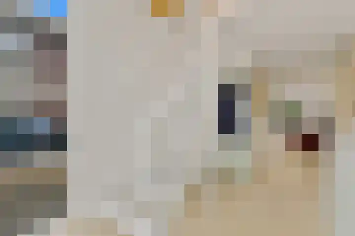 Berkenhof 8 Maasland thumbnail 7