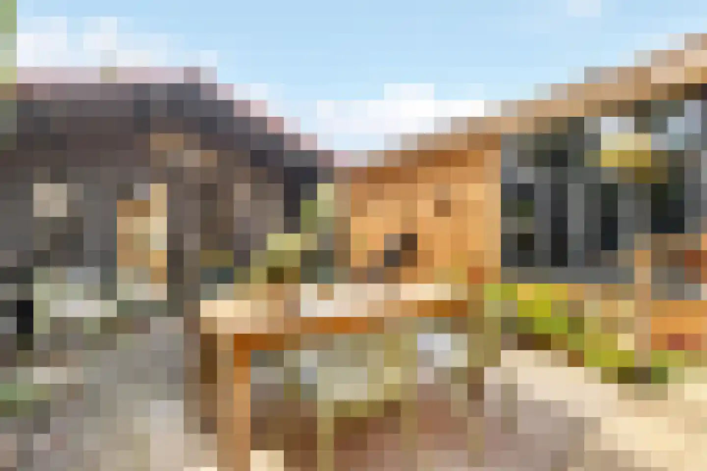 Berkenhof 82 Tienhoven thumbnail 15