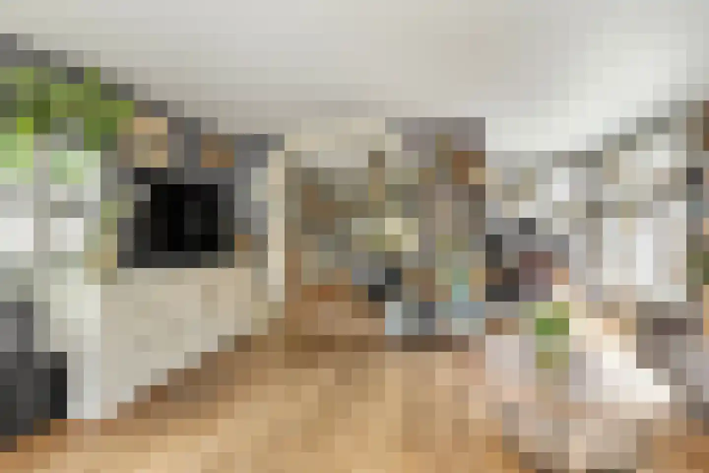 Berkenhof 82 Tienhoven thumbnail 17