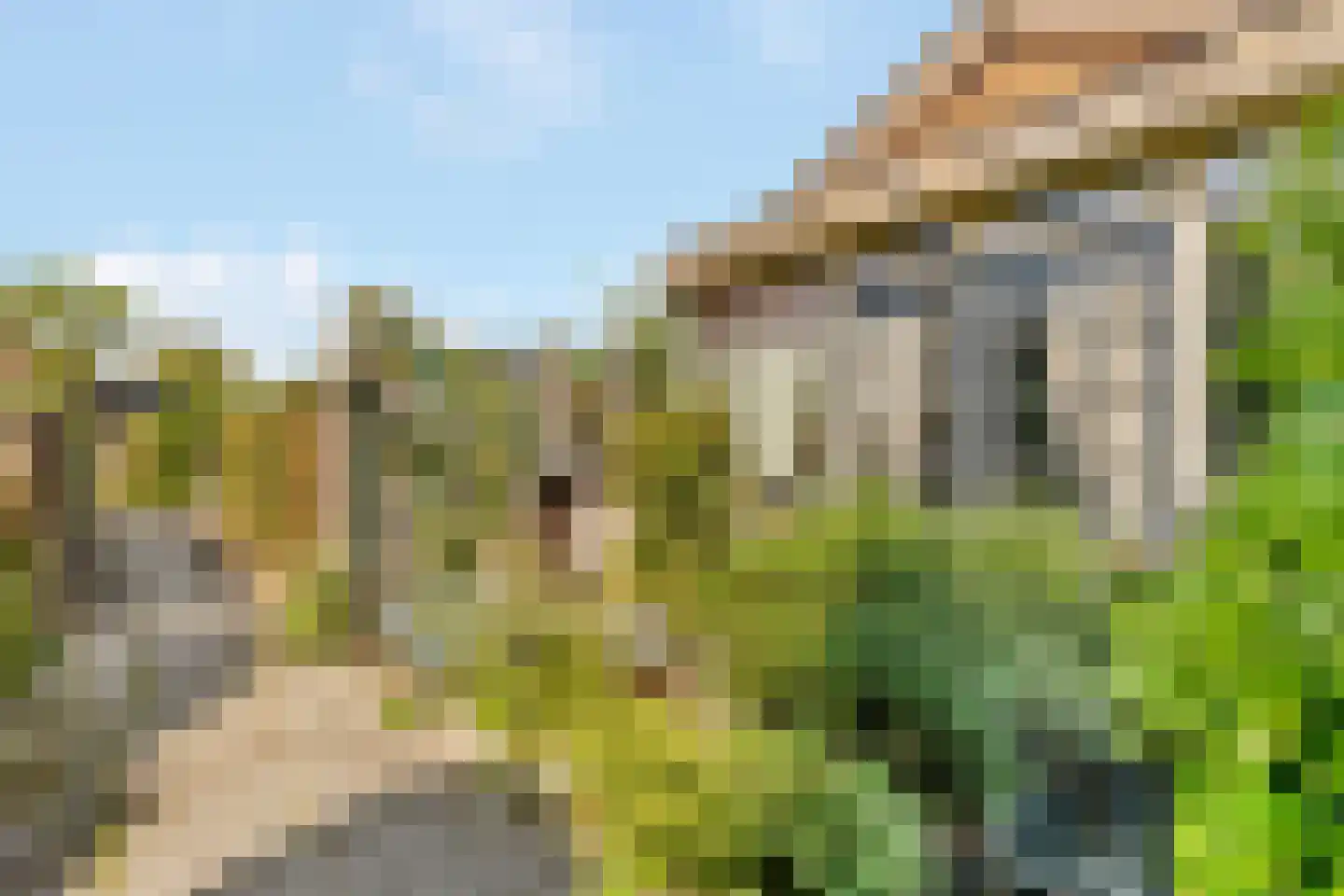Berkenhof 82 Tienhoven thumbnail 22