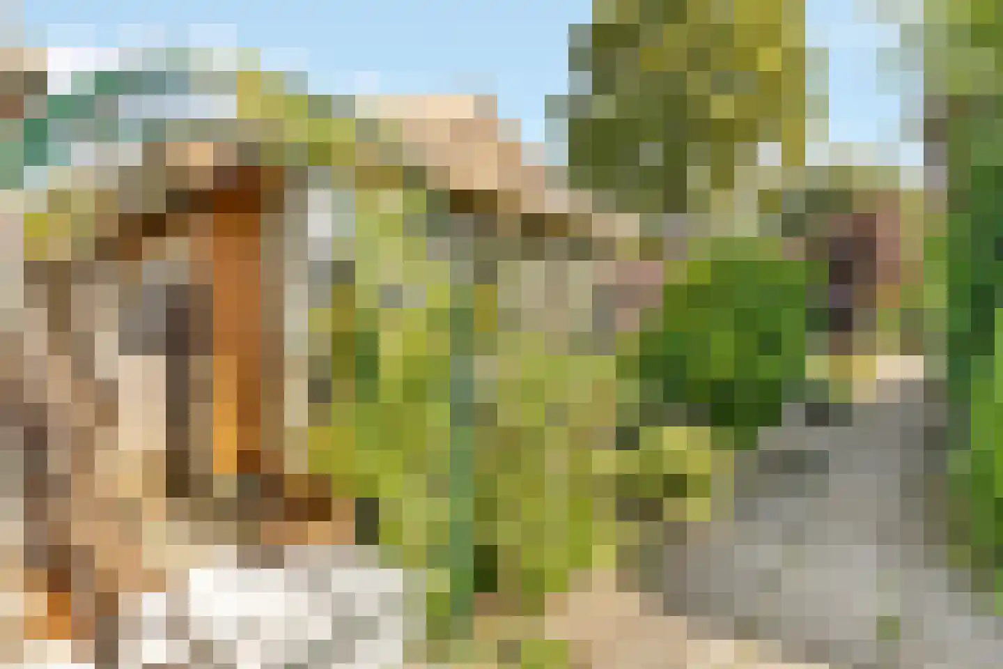Berkenhof 82 Tienhoven thumbnail 23