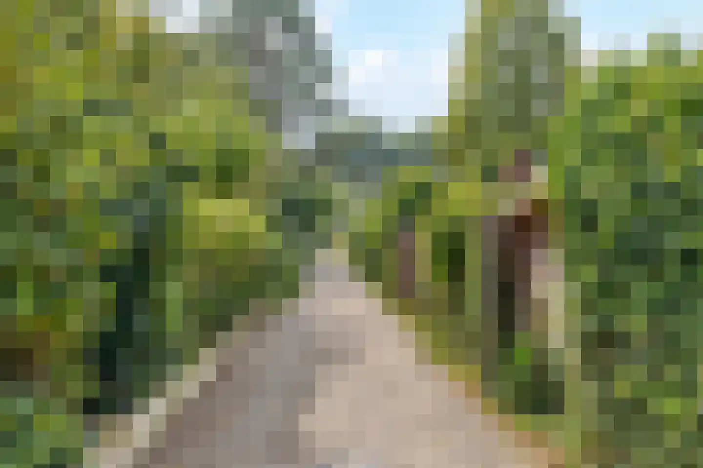 Berkenhof 82 Tienhoven thumbnail 25