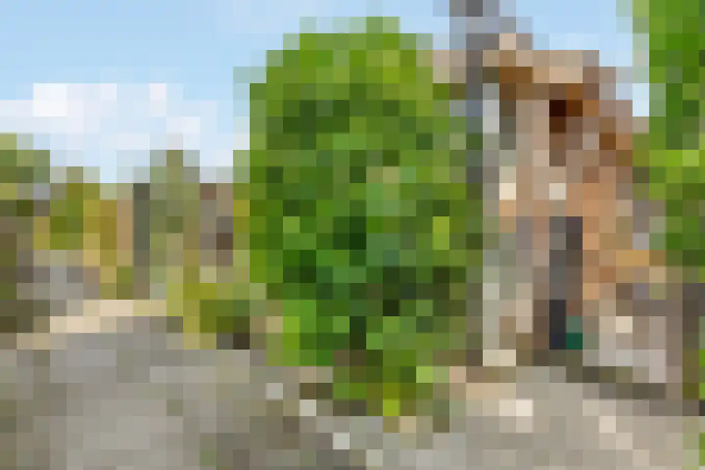 Berkenhof 82 Tienhoven thumbnail 4