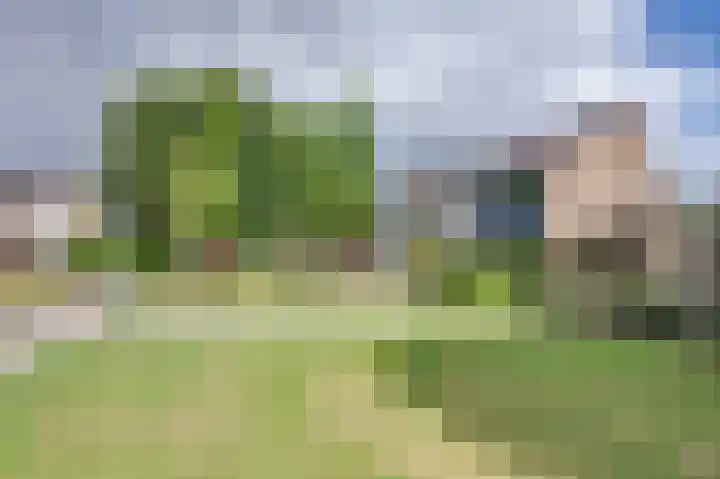 Berkenhof 9 Rozenburg thumbnail 10