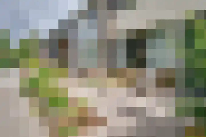 Berkenhof 9 Rozenburg thumbnail 12