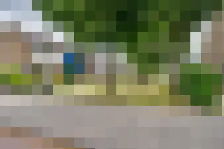 Berkenhof 9 Rozenburg thumbnail 7