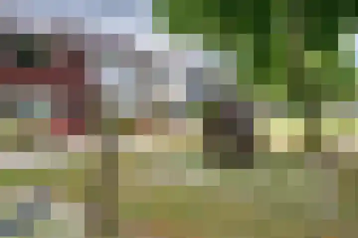 Berkenhof 9 Rozenburg thumbnail 9